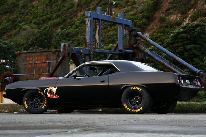 Cuda New Zealand