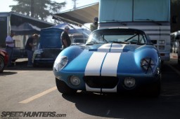 shelby20