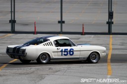 shelby49