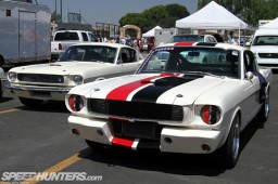 shelby63