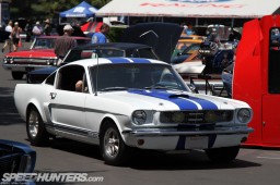 shelby71