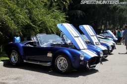 shelby74