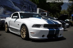 shelby85