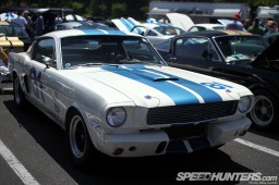 shelby89