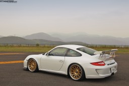 The Check Shop GT3 #5