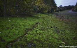 1920x1200 Brooklands bankingPhoto by Jonathan Moore