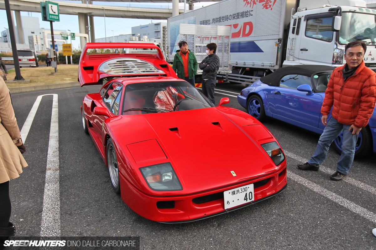 Dino-Exotics-Daikoku-04
