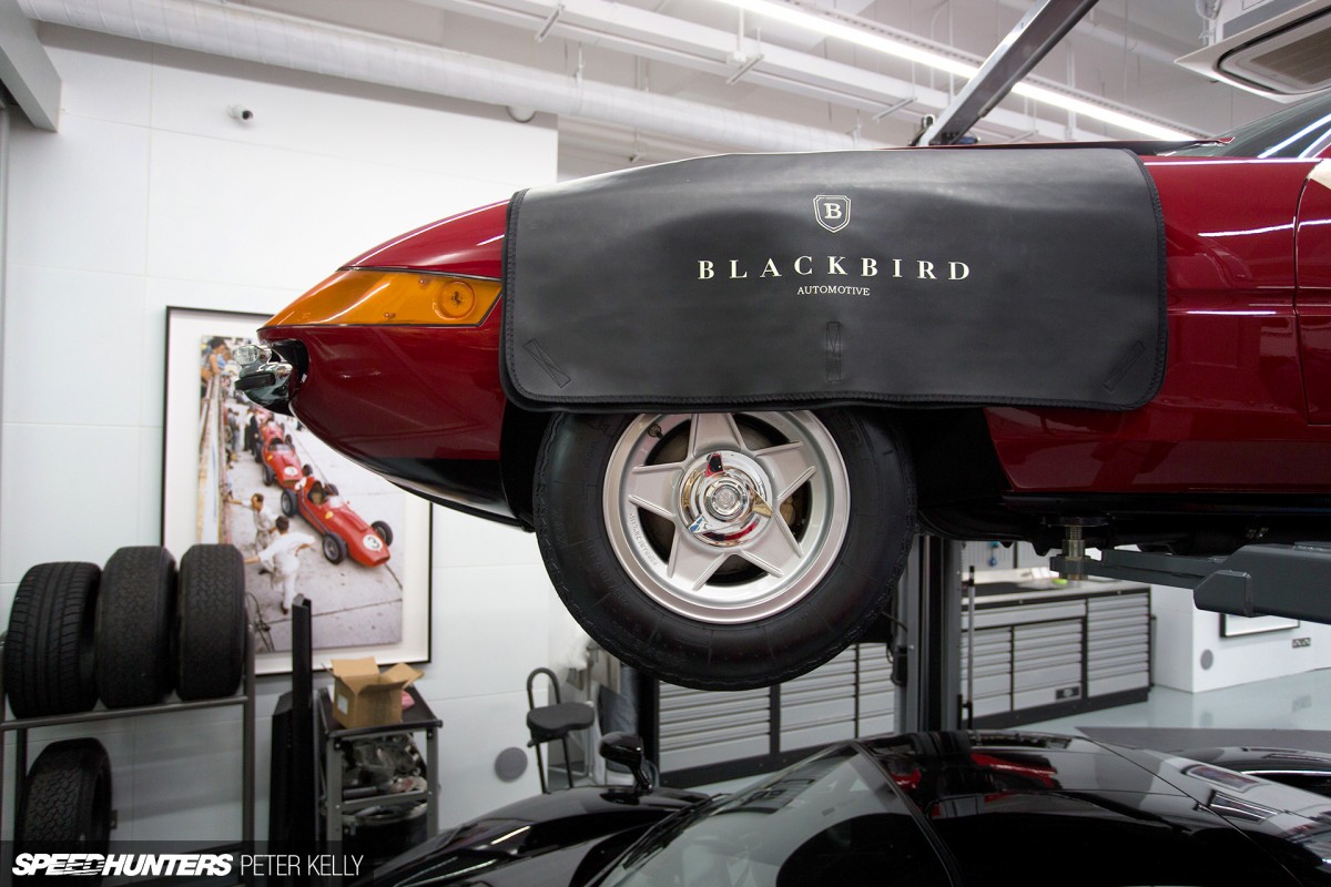 Blackbird-53