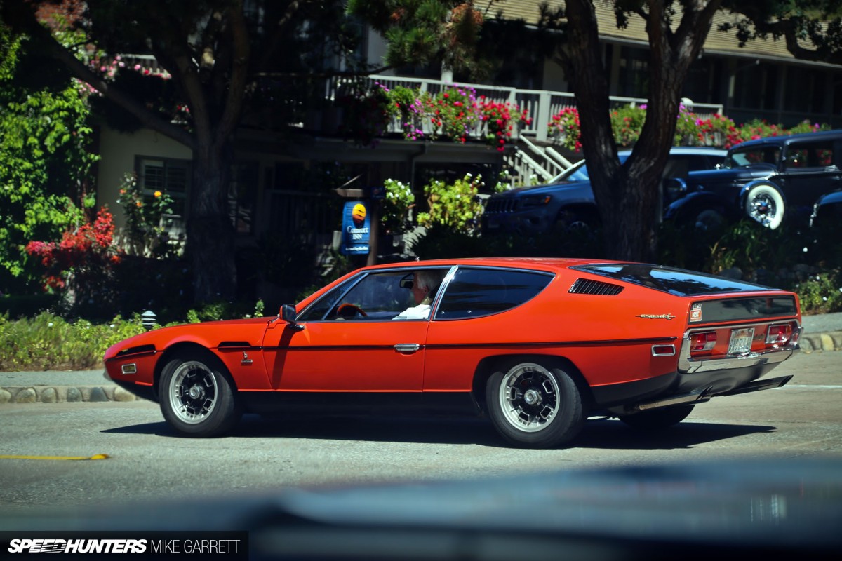 Monterey-Sightings-4 copy