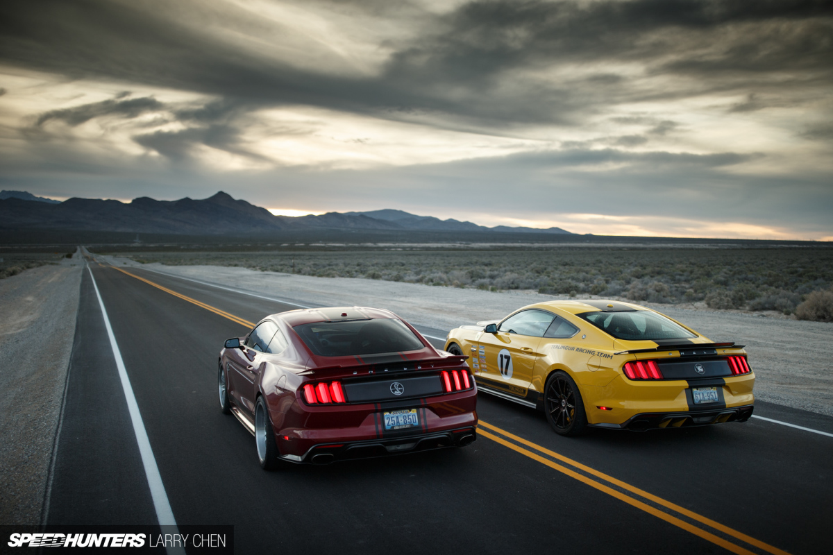 Snakes On The Loose: Shelby Does The S550
