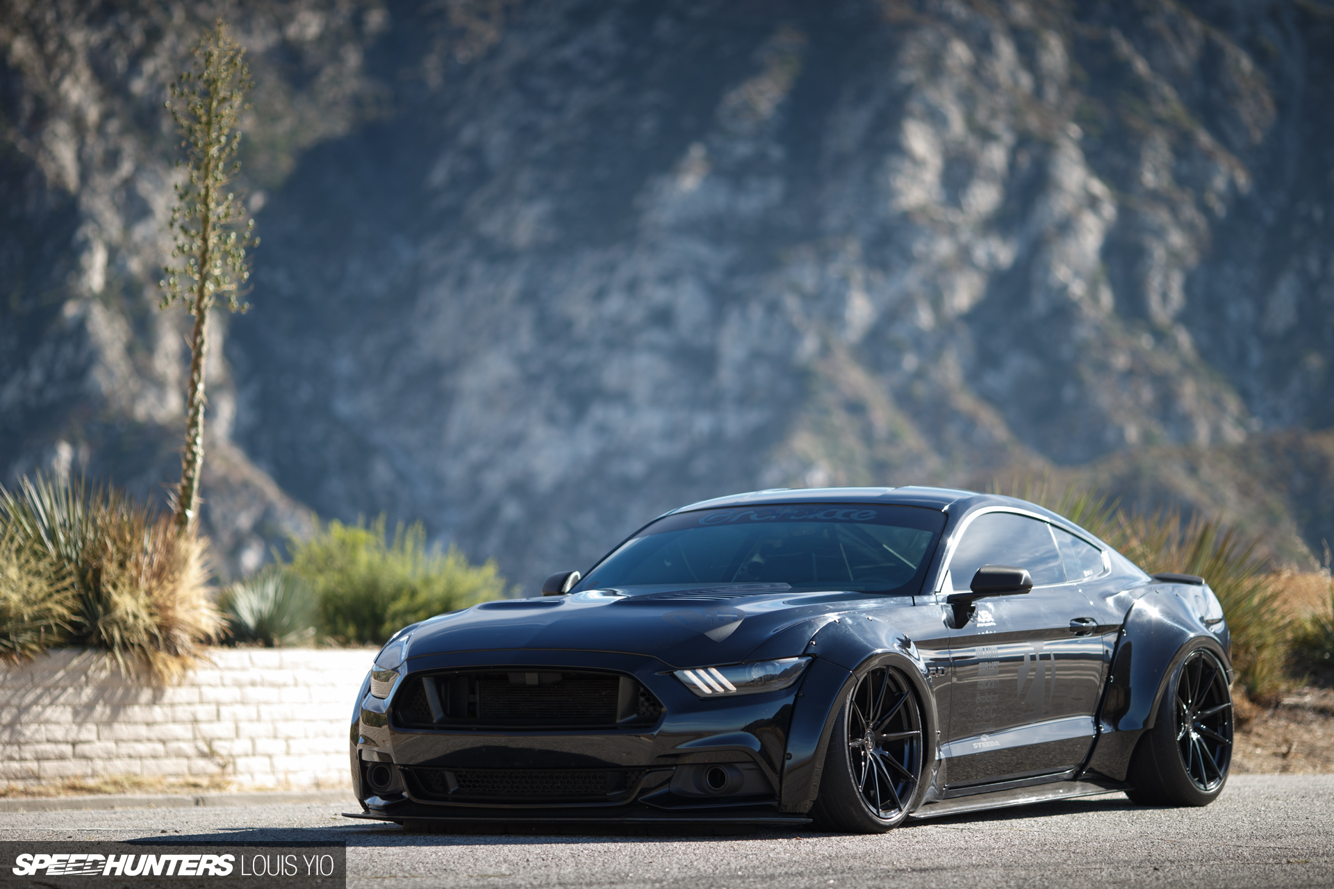 mustang overfenders