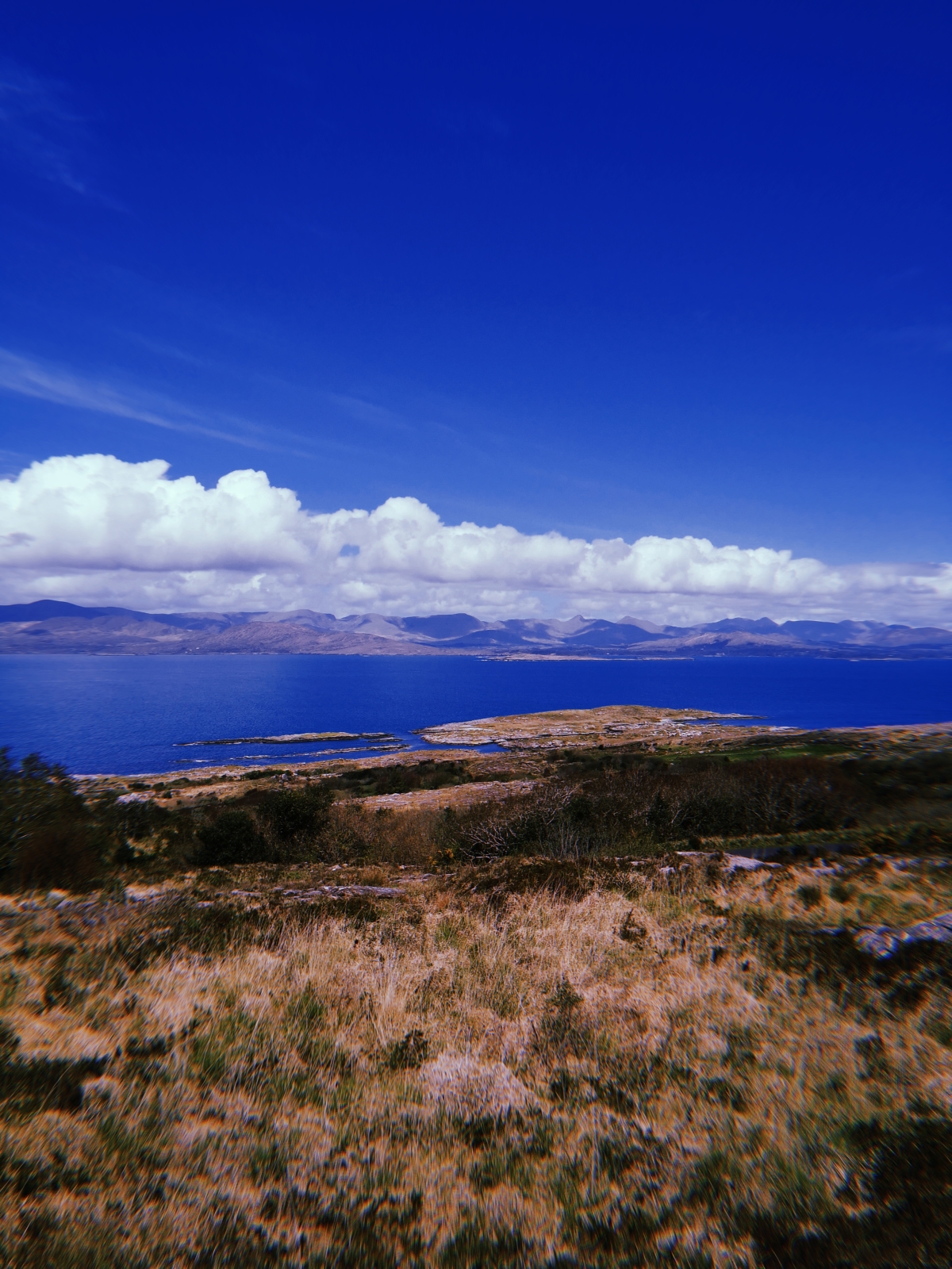 Rally_of_The_Lakes_2019_SH_by_Cian_Don (100)