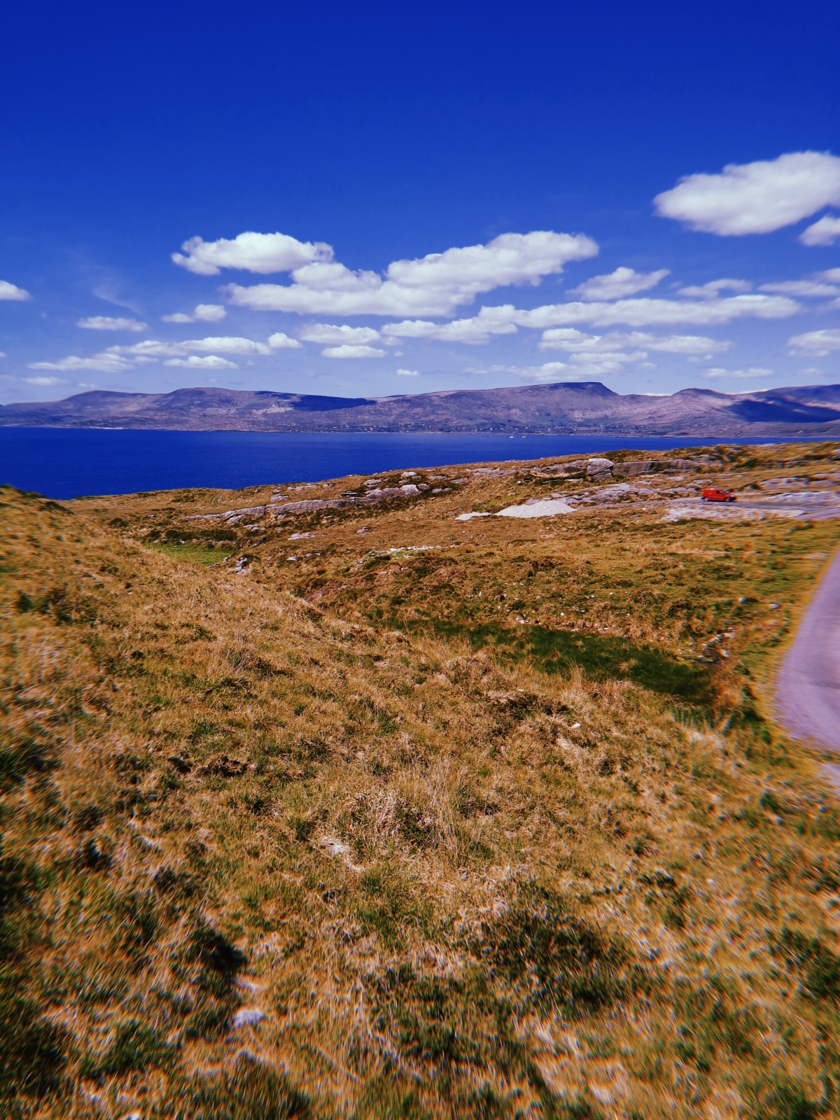 Rally_of_The_Lakes_2019_SH_by_Cian_Don (109)