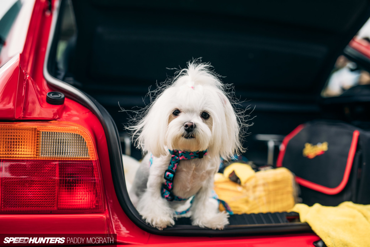 2019 PC Goodwood Sunday Speedhunters par Paddy McGrath-32