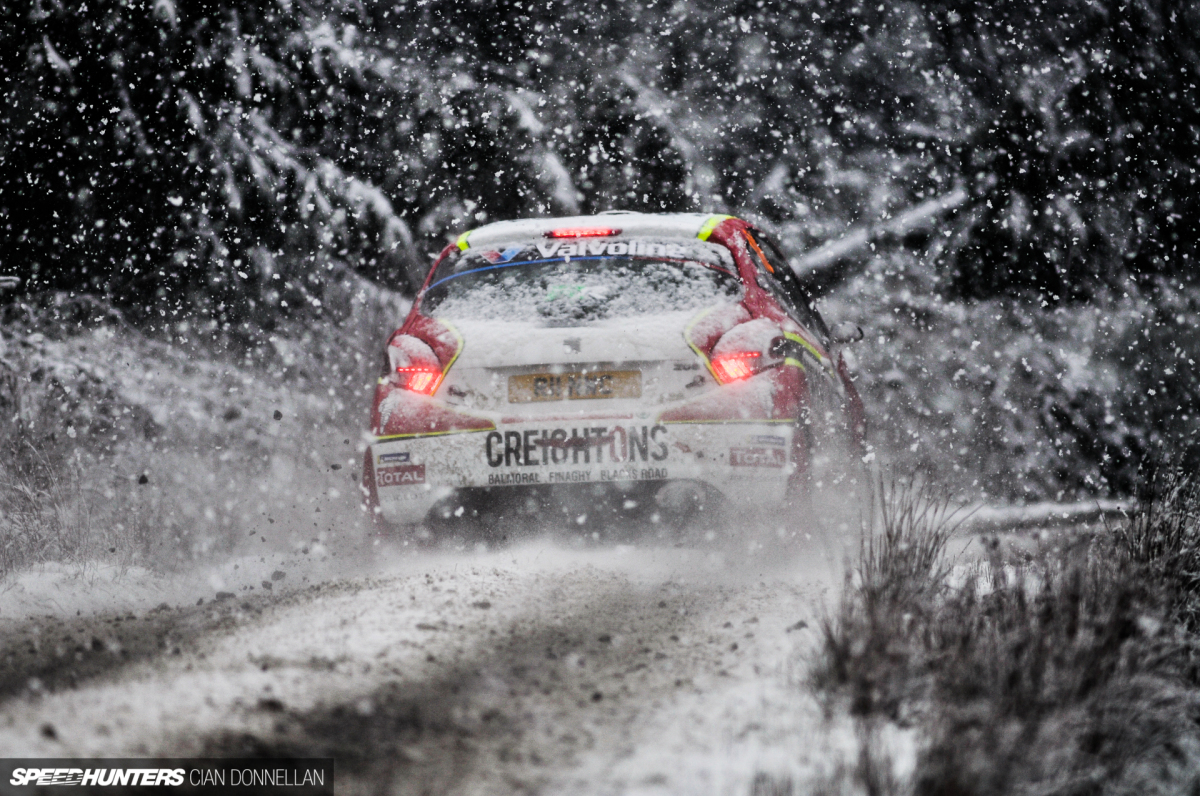 Limerick_Forest_Cian_Donnellan (8)