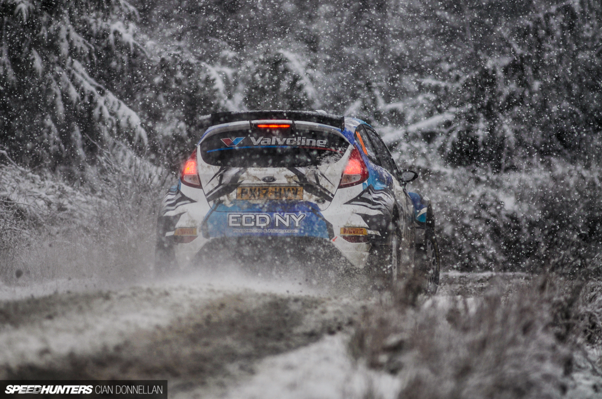 Limerick_Forest_Cian_Donnellan (13)