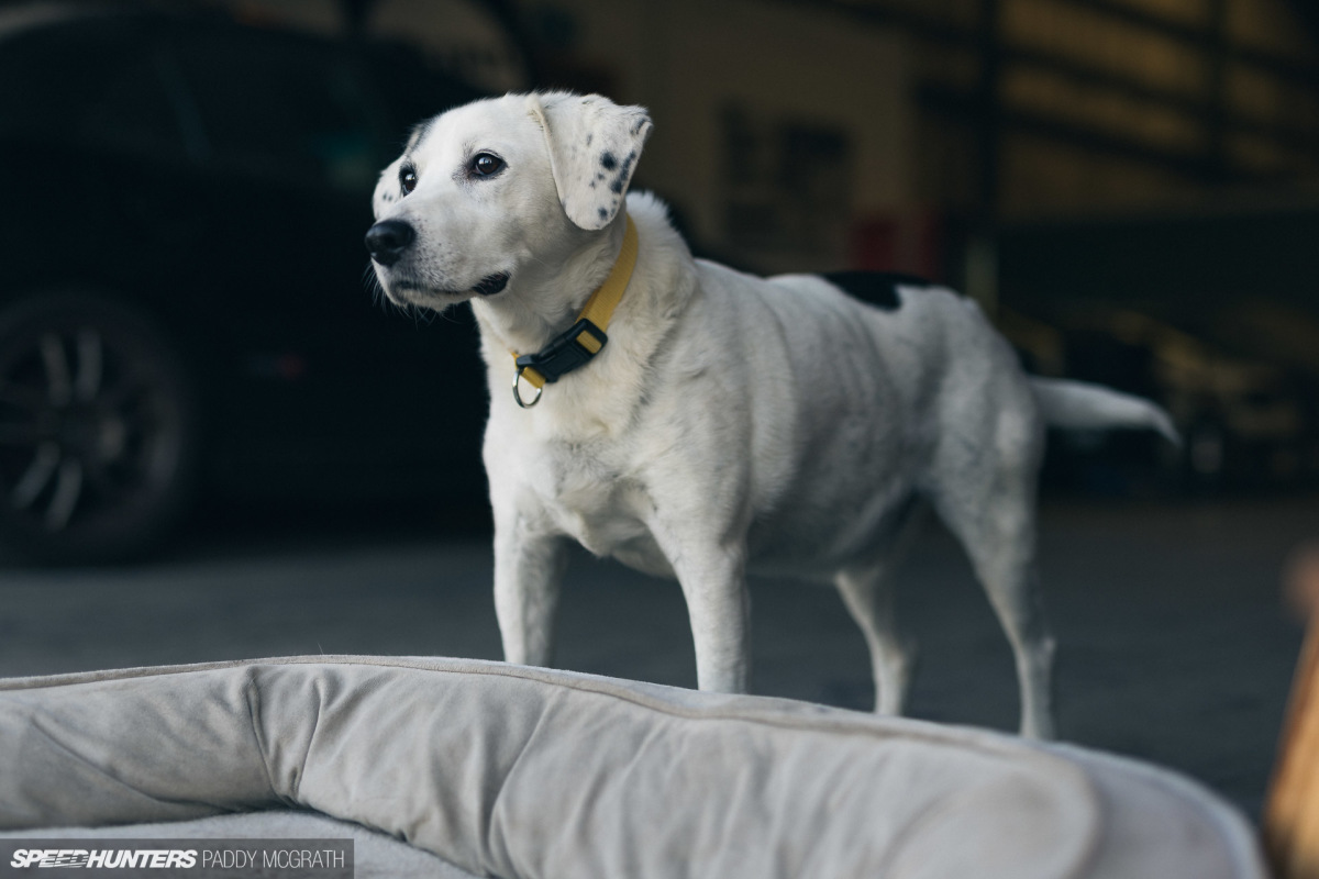 2022 Juicebox BBQ Speedhunters par Paddy McGrath-4