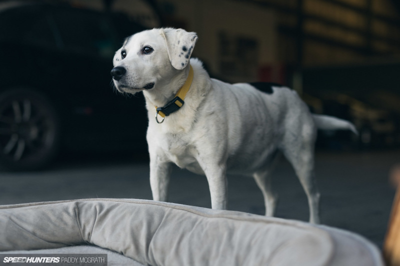2022 Juicebox BBQ Speedhunters by Paddy McGrath-4